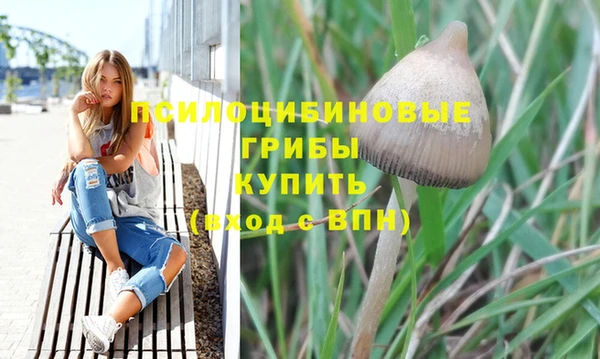 спиды Михайловка