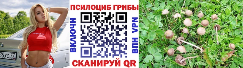 Галлюциногенные грибы MAGIC MUSHROOMS Комсомольск-на-Амуре
